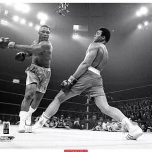 Meet your Posher, Darce